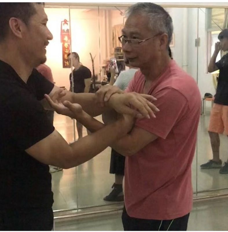 Ving Tsun lineage visit with master practitioners