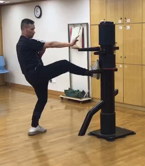 Shun Mo Ving Tsun class in Quincy, MA