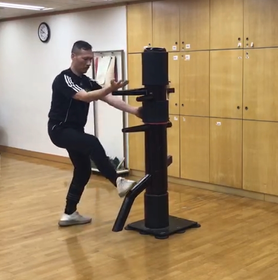 Sifu Wong Kin Wai instructing Ving Tsun